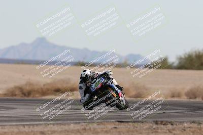 media/Nov-30-2025-TrackXperience (Sun) [[c0061d280f]]/2-Level 2/Session 6 Turn 4 Tree of Life/